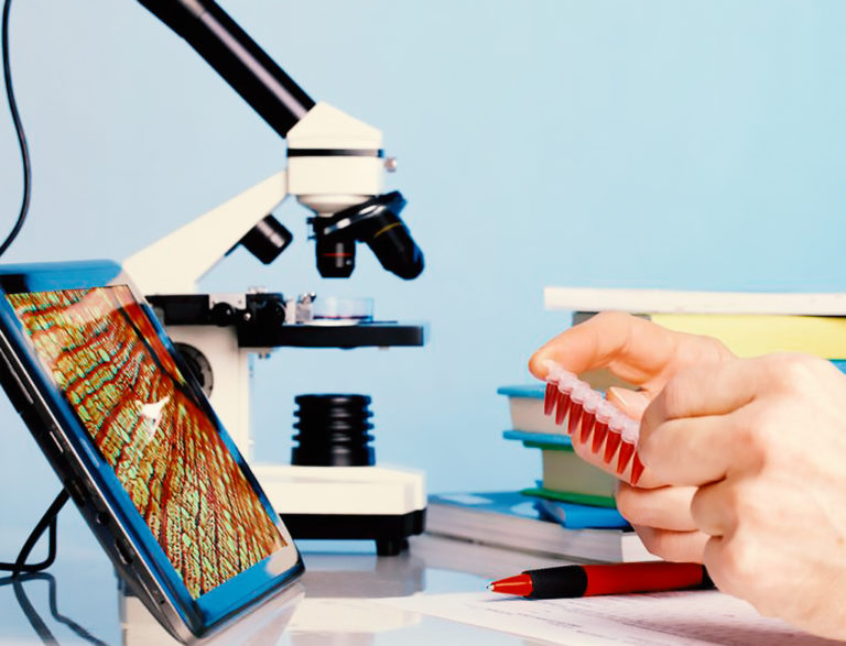 What Is A Digital Microscope? - Digital Microscopes Reviews