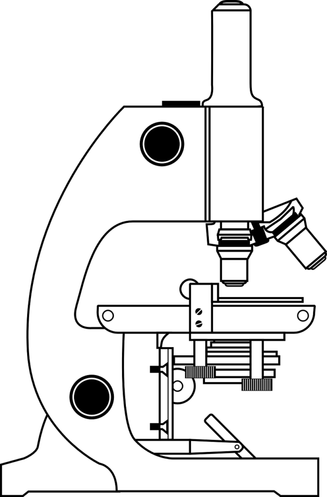 The Magnification Power of a Digital Microscope